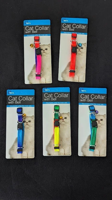 Welcome Home Kitty - Basics