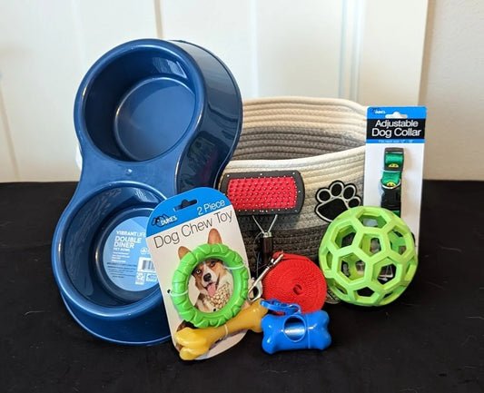 Welcome Home Doggy - Basics