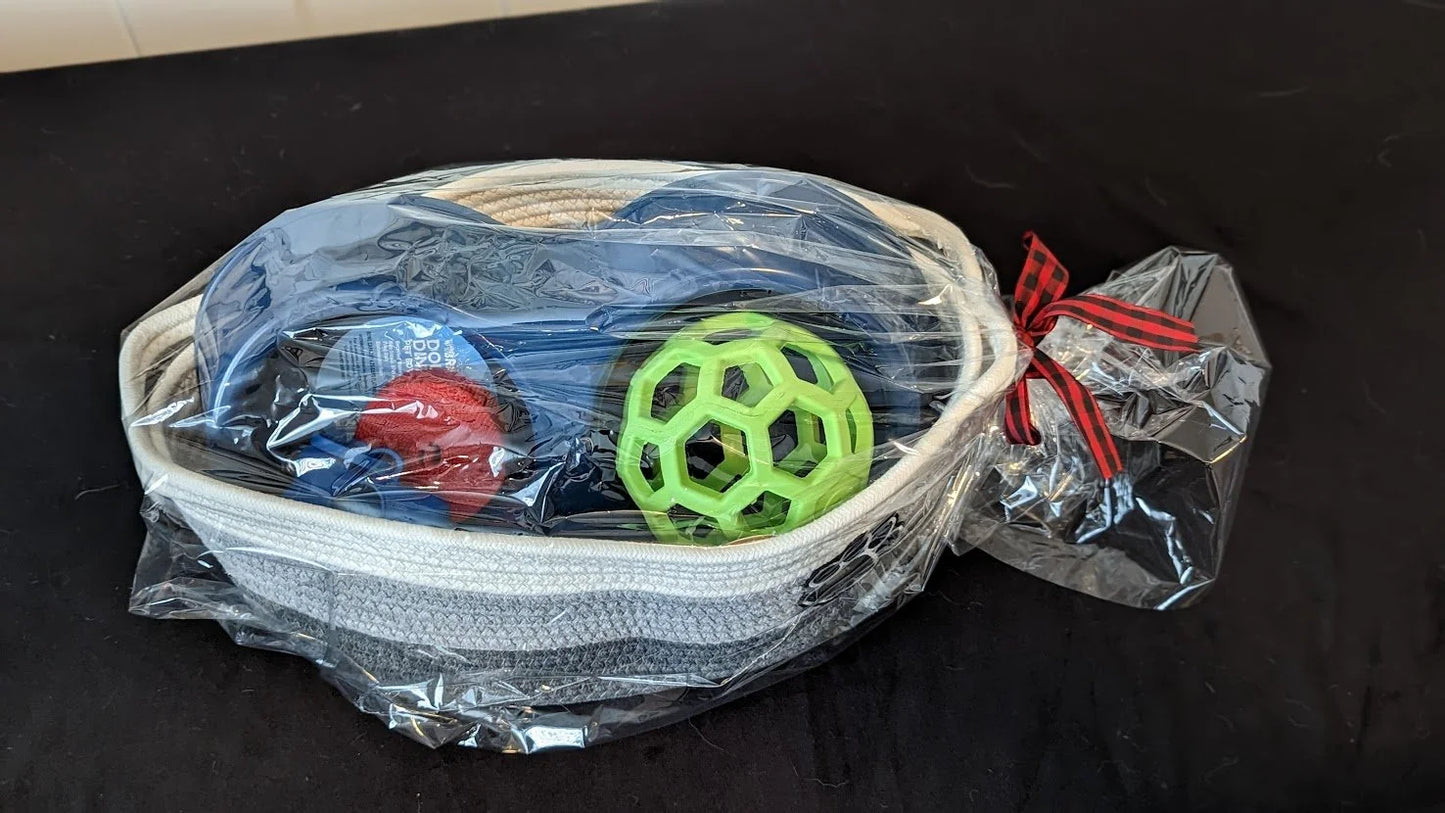 Welcome Home Doggy - Basics