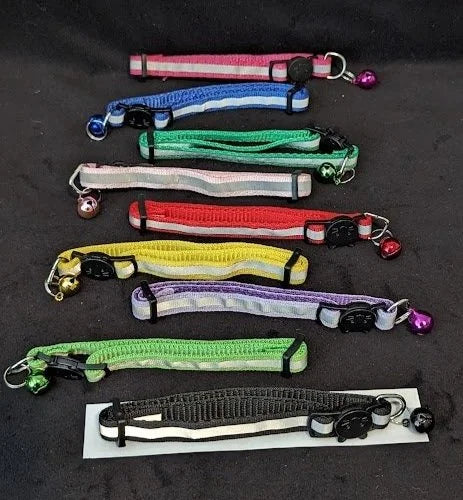 Welcome Home Kitty - Deluxe