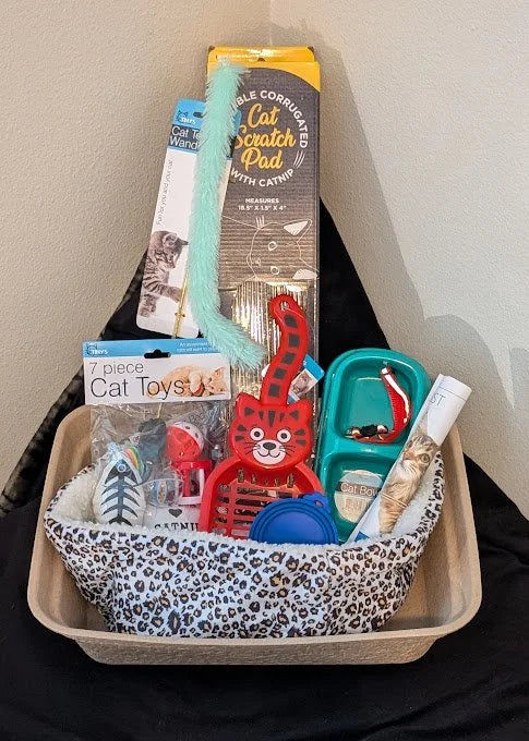 Welcome Home Kitty - Deluxe