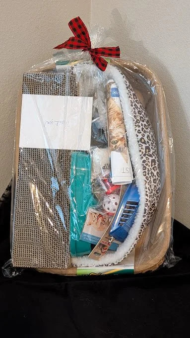 Welcome Home Kitty - Deluxe