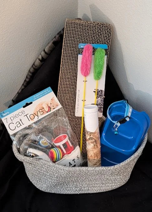 Welcome Home Kitty - Basics