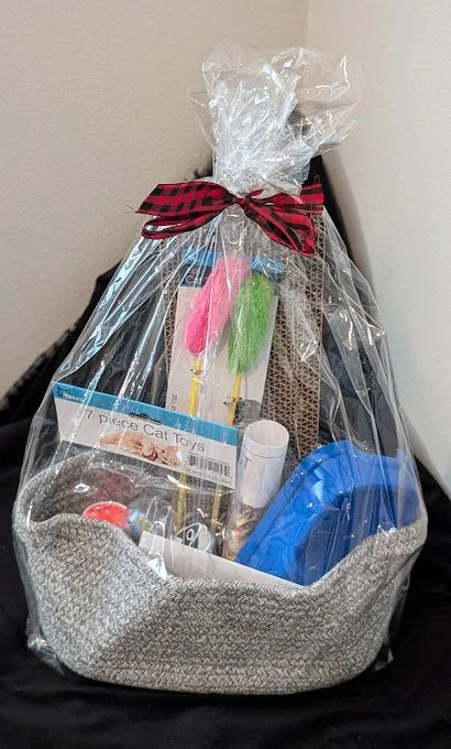 Welcome Home Kitty - Basics