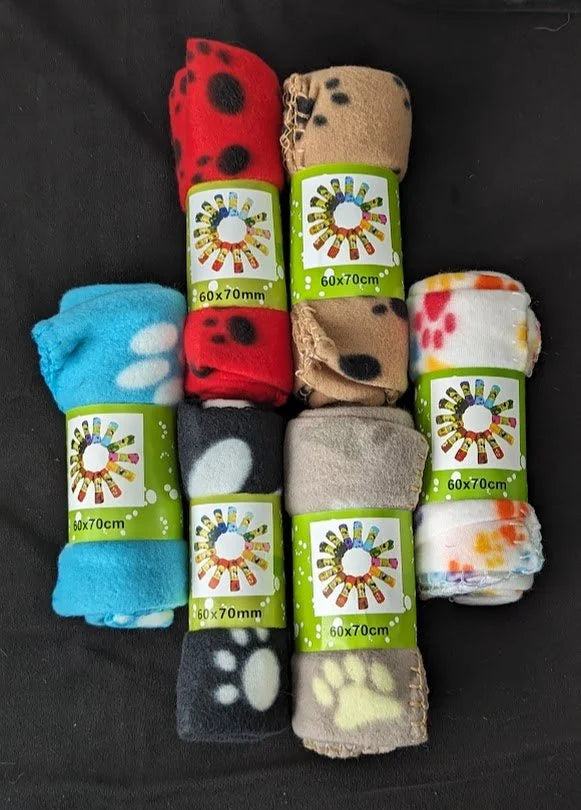 Welcome Home Doggy - Deluxe